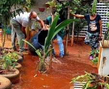 Paraná aposta na capacitação, informação e monitoramento no controle das arboviroses