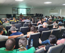 Paraná aposta na capacitação, informação e monitoramento no controle das arboviroses