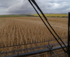 BOLETIM AGRO
