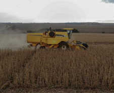 BOLETIM AGRO