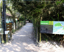 IAT promove observação de aves guiada na Ilha do Mel 