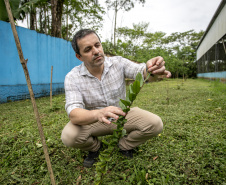 PORTOS DO PARANÁ INVESTIMENTO