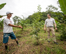 PORTOS DO PARANÁ INVESTIMENTO