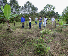 PORTOS DO PARANÁ INVESTIMENTO