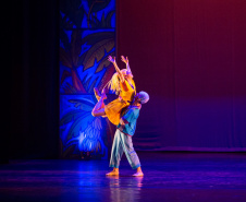 Palco Paraná e Teatro Guaíra