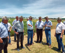 Dias de Campo divulgam inovação e boas práticas agrícolas no Oeste do Paraná