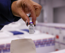 DENGUE