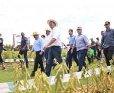 SUSAF SHOW RURAL