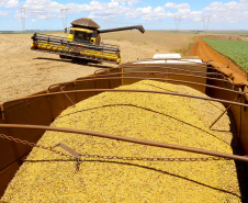 Boletim agropecuário analisa safra de 18,8 milhões de toneladas de soja e preços das carnes