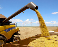 Boletim agropecuário analisa safra de 18,8 milhões de toneladas de soja e preços das carnes