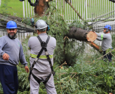Copel restabelece energia em 95% das unidades consumidoras afetadas pelo temporal