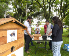 POLINIZA PARANÁ