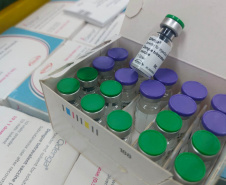 VACINA DENGUE