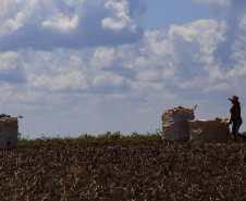 RURAL