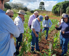 IDR REDE DE AGROPESQUISA