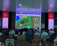 SEAB Evento de greening - expoinga