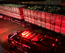 PCPR apreende 630 quilos de cocaína no primeiro semestre, 129% a mais que o mesmo período do ano passado