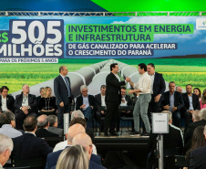 RENOVAVEL