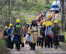 BOMBEIROS