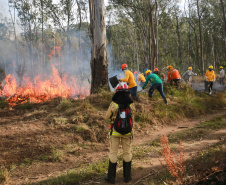 BOMBEIROS