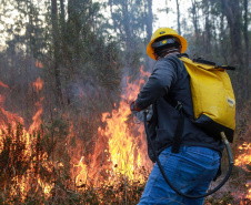 BOMBEIROS
