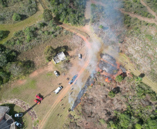 Ação de controle do pinus limpou em junho 11,2 hectares do Parque Estadual de Vila Velha