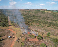 Ação de controle do pinus limpou em junho 11,2 hectares do Parque Estadual de Vila Velha