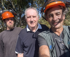 Ação de controle do pinus limpou em junho 11,2 hectares do Parque Estadual de Vila Velha