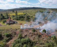 Ação de controle do pinus limpou em junho 11,2 hectares do Parque Estadual de Vila Velha