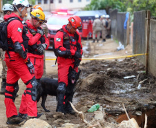 BOMBEIROS