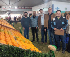 Cerro Azul promove Festa da Ponkan com apoio do Governo do Estado