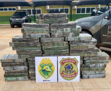  Operação Protetor: Ação da PMPR em Cruzeiro do Oeste resulta em apreensão de veículo roubado e 883 kg de Maconha