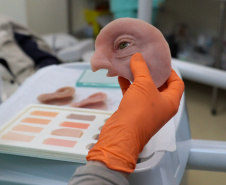 SESA PROTESES FACIAIS SUS