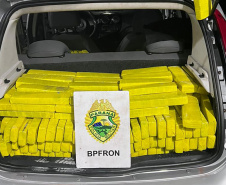 Combate ao tráfico: apreensões de maconha e cocaína crescem no 1º semestre de 2024