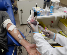 SESA DOAÇÃO DE SANGUE