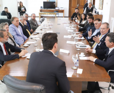 GOV REUNIÃO ROTARY