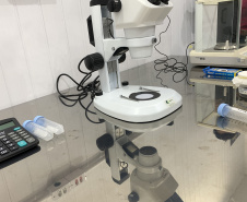Paraná solta os primeiros mosquitos do “Método Wolbachia” na inauguração da biofábrica, em Foz do Iguaçu