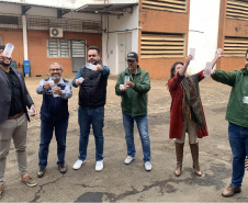 58 milhões de wolbitos devem ajudar Londrina no combate às arboviroses 