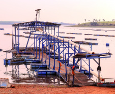 O governador em exercício Darci Piana recebeu o ministro da Pesca e Aquicultura, André de Paula, em uma visita a produtores de tilápia em Alvorada do Sul e Bela Vista do Paraíso, na região Norte do Paraná, nesta segunda-feira (15). 