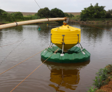 VICE PESCA DE TILÁPIA
