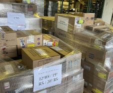 Governo envia mais de 1,3 milhão de unidades de medicamentos para apoio ao Rio Grande do Sul