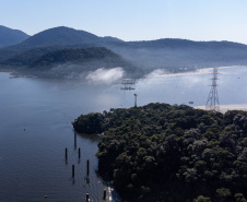 PONTE