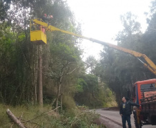DER PR-170 Pinhão conservação de faixa de domínio
