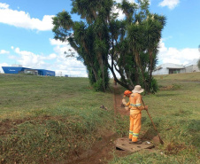 DER/PR vai inspecionar pontes e viadutos em rodovias estaduais de todo o Paraná 