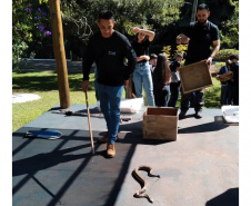 IAT capacita técnicos ambientais para o manejo correto de serpentes