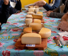 Paraná é segundo colocado no VII Prêmio Queijo Brasil, com 129 premiações