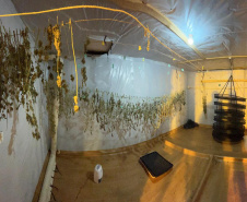 PMPR APREENDE MACONHA