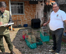  IAT APREENDE SETE AVES MANTIDAS EM CATIVEIRO IRREGULAR EM CURITIBA NESTA QUINTA-FEIRA (29)