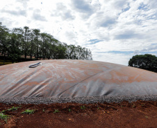 Três anos de RenovaPR: Paraná é líder na capacidade instalada para a geração de energia no setor rural nas regiões Sul e Sudeste