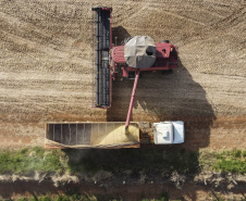35 municípios do Paraná têm Valor Bruto da Produção Agropecuária superior a R$ 1 bilhão